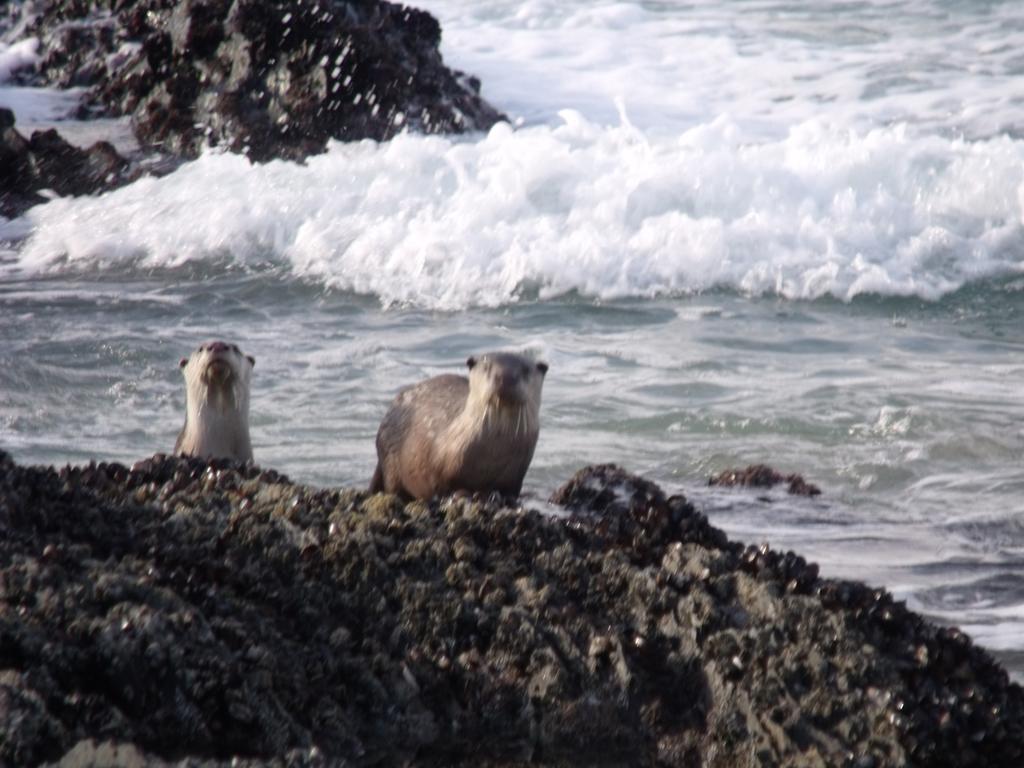 Апартаменти Kamma-Otter Нейчез Веллі Екстер'єр фото